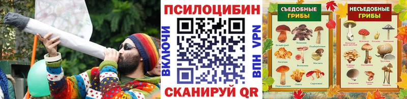 Псилоцибиновые грибы прущие грибы  Рассказово 