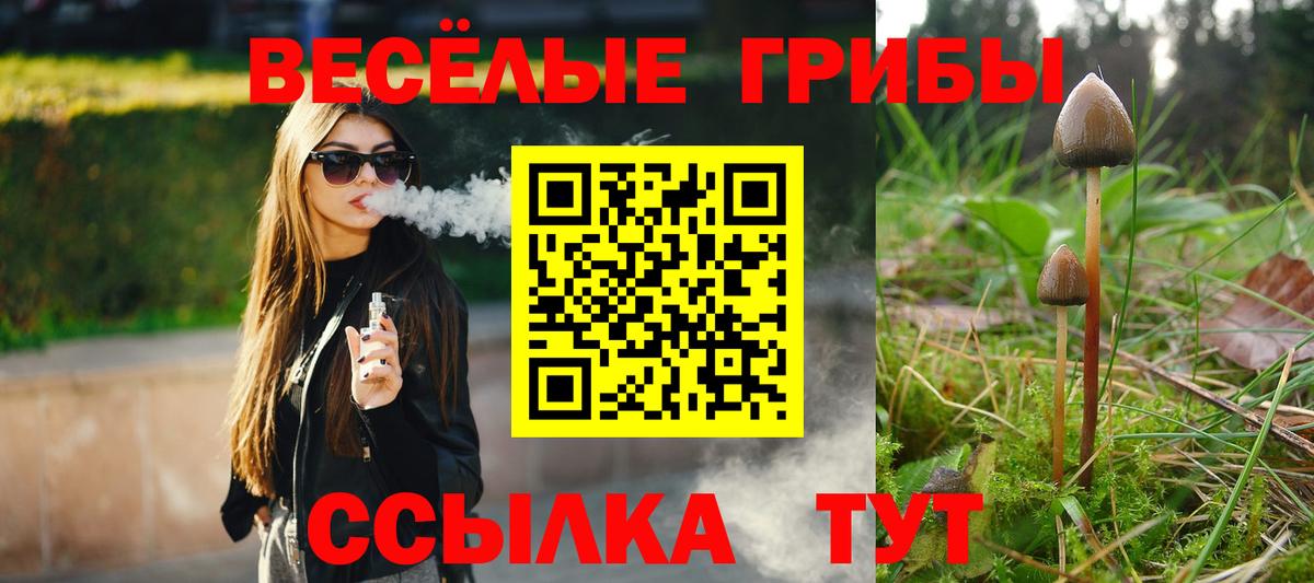 Галлюциногенные грибы мухоморы  Вход с VPN  Рассказово  Галлюциногенные грибы прущие грибы 